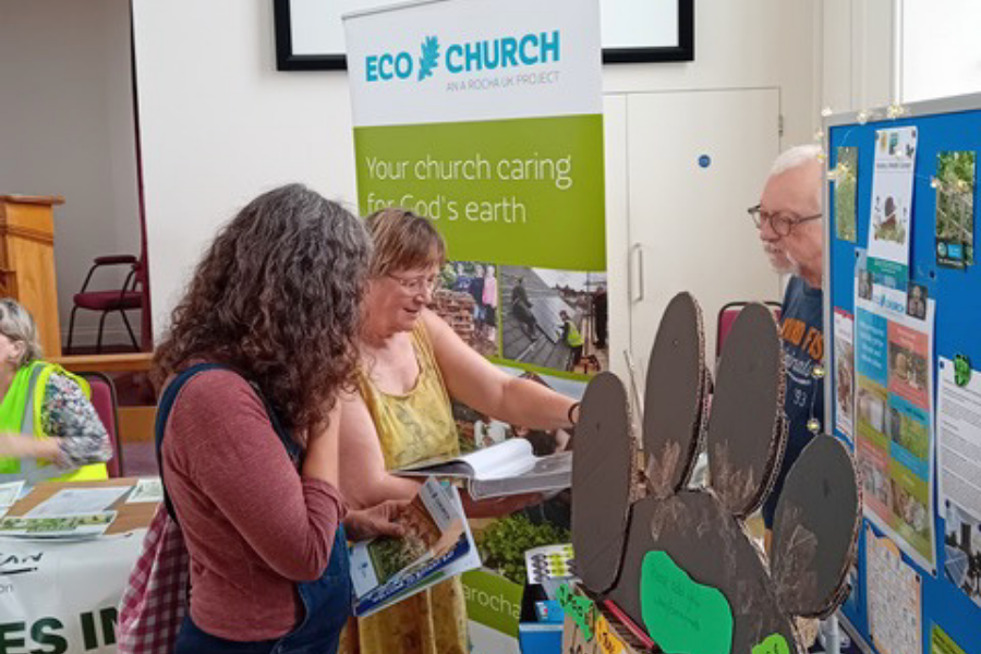 Website Thumbnails (8).png