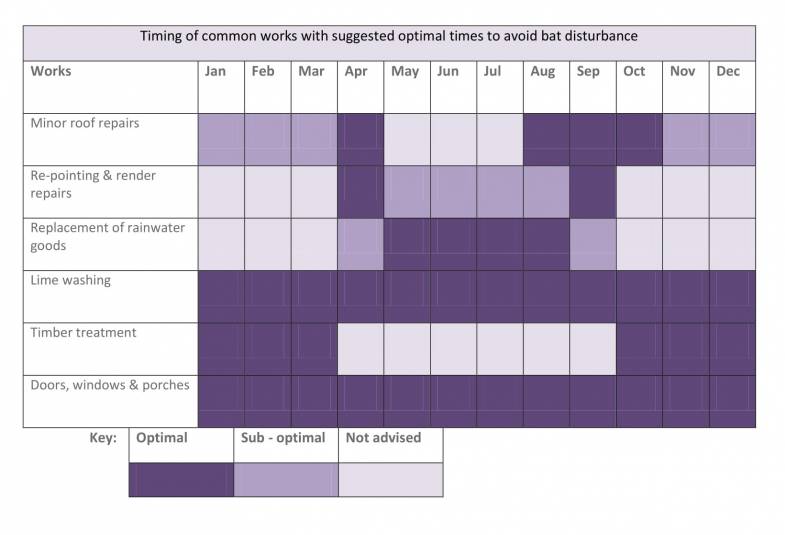 Avoiding bat disturbance timings