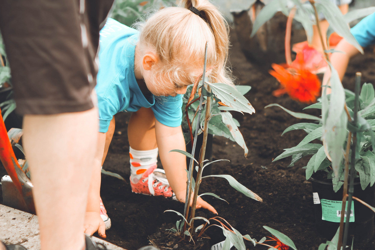 Child gardening