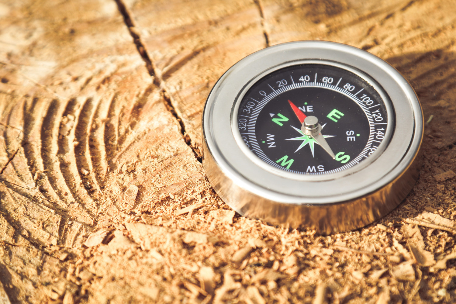 Image of a compass on a tree stump